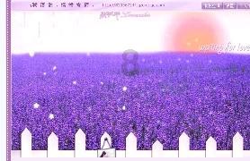 苏菲亚安伯时装秀
